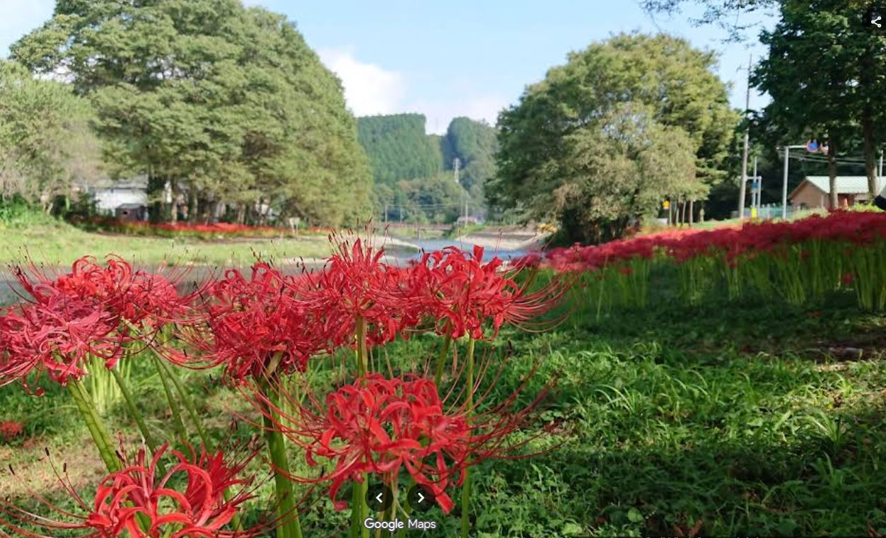 安戸河原遊歩道-4.JPG