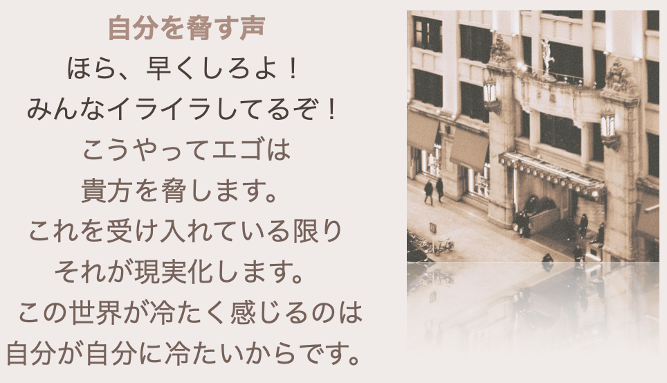 スクリーンショット 2024-08-03 21.25.06.png