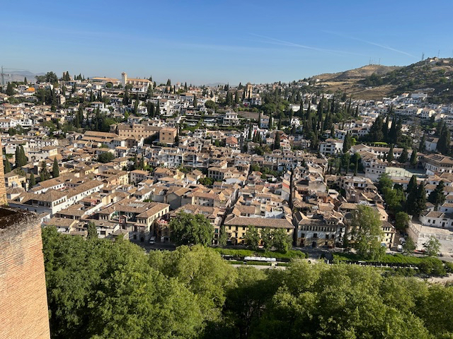 IMG_6228.jpg
