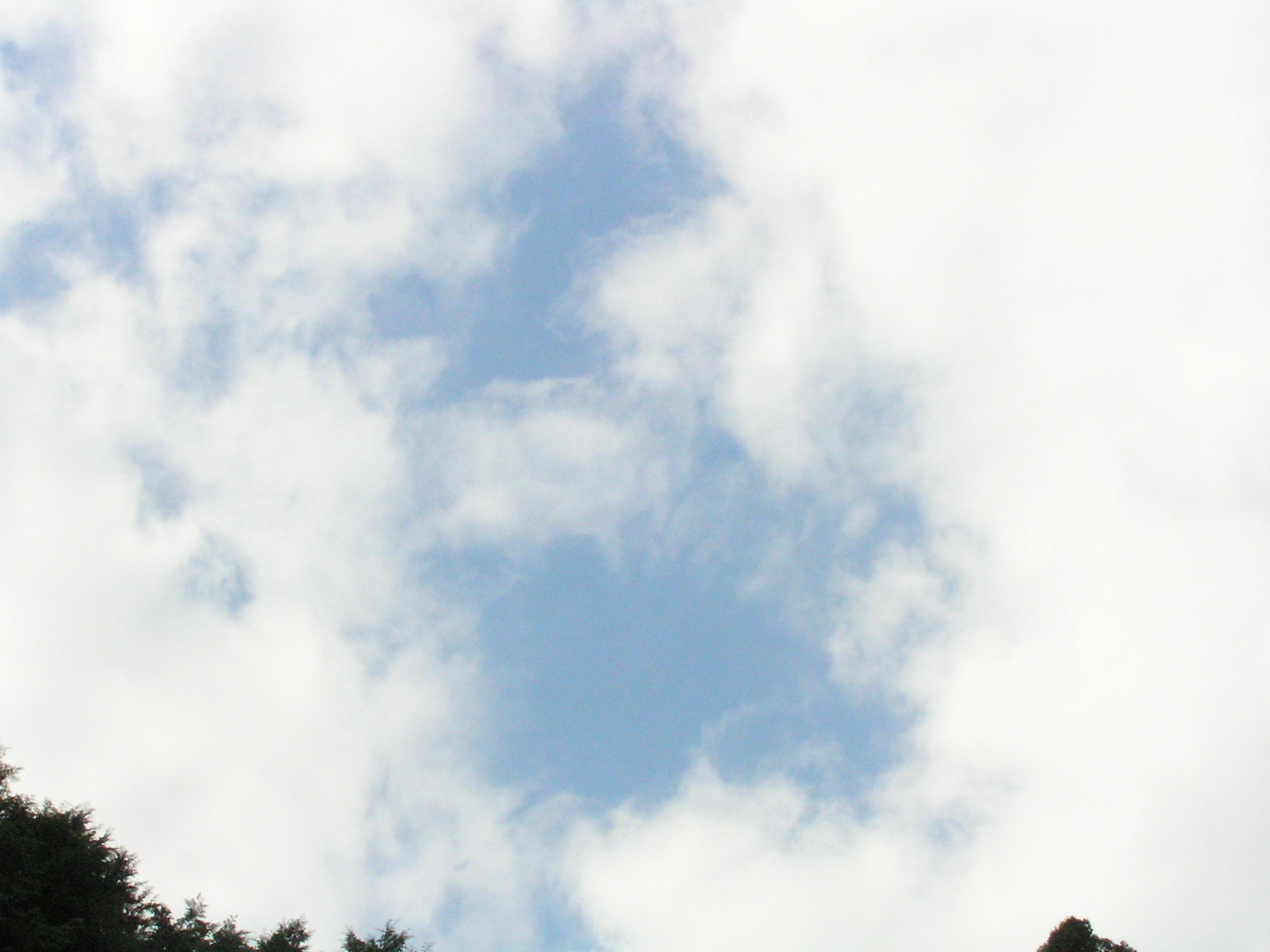 PA260080.JPG