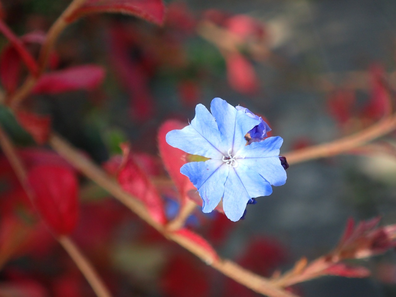 PB160520.JPG