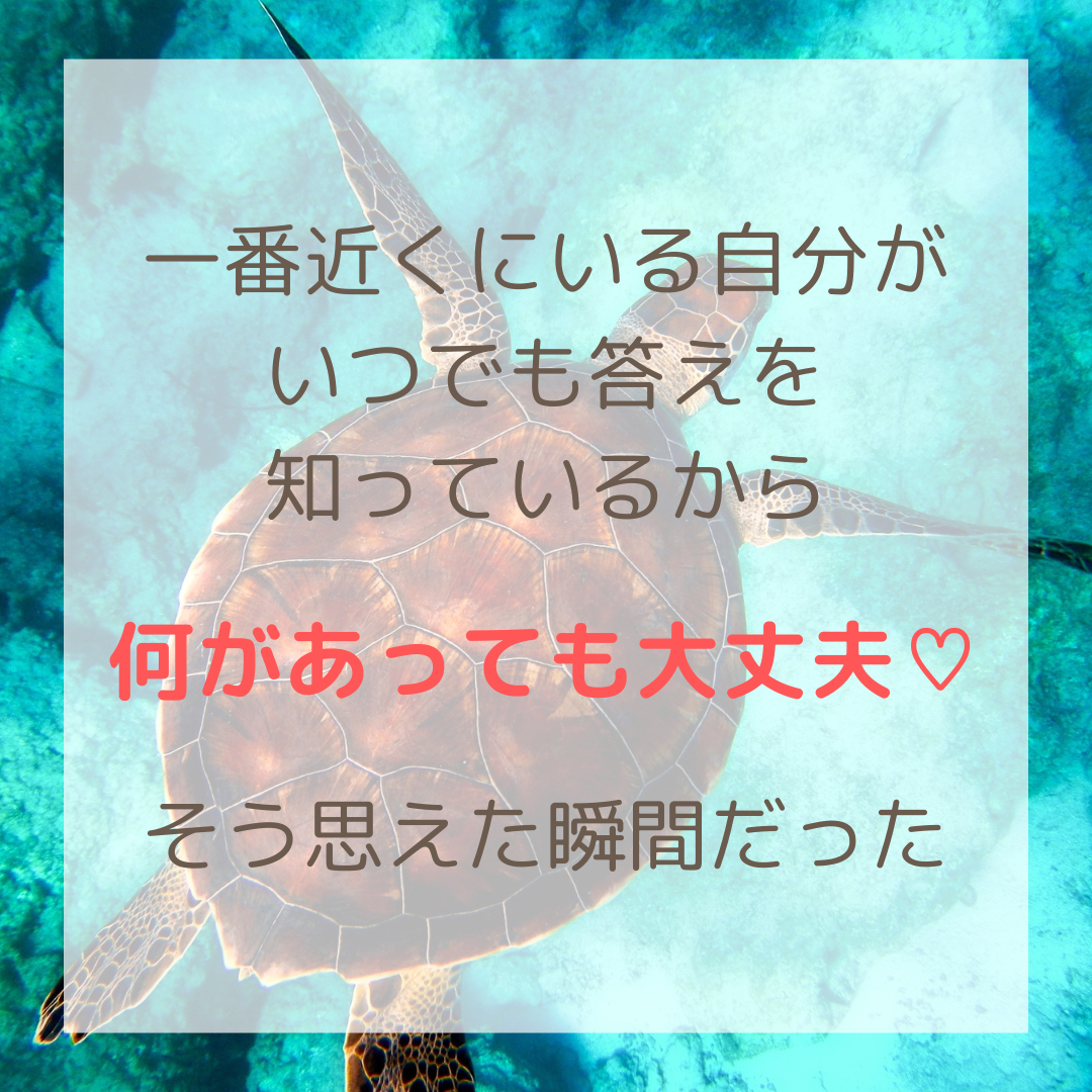 12.png