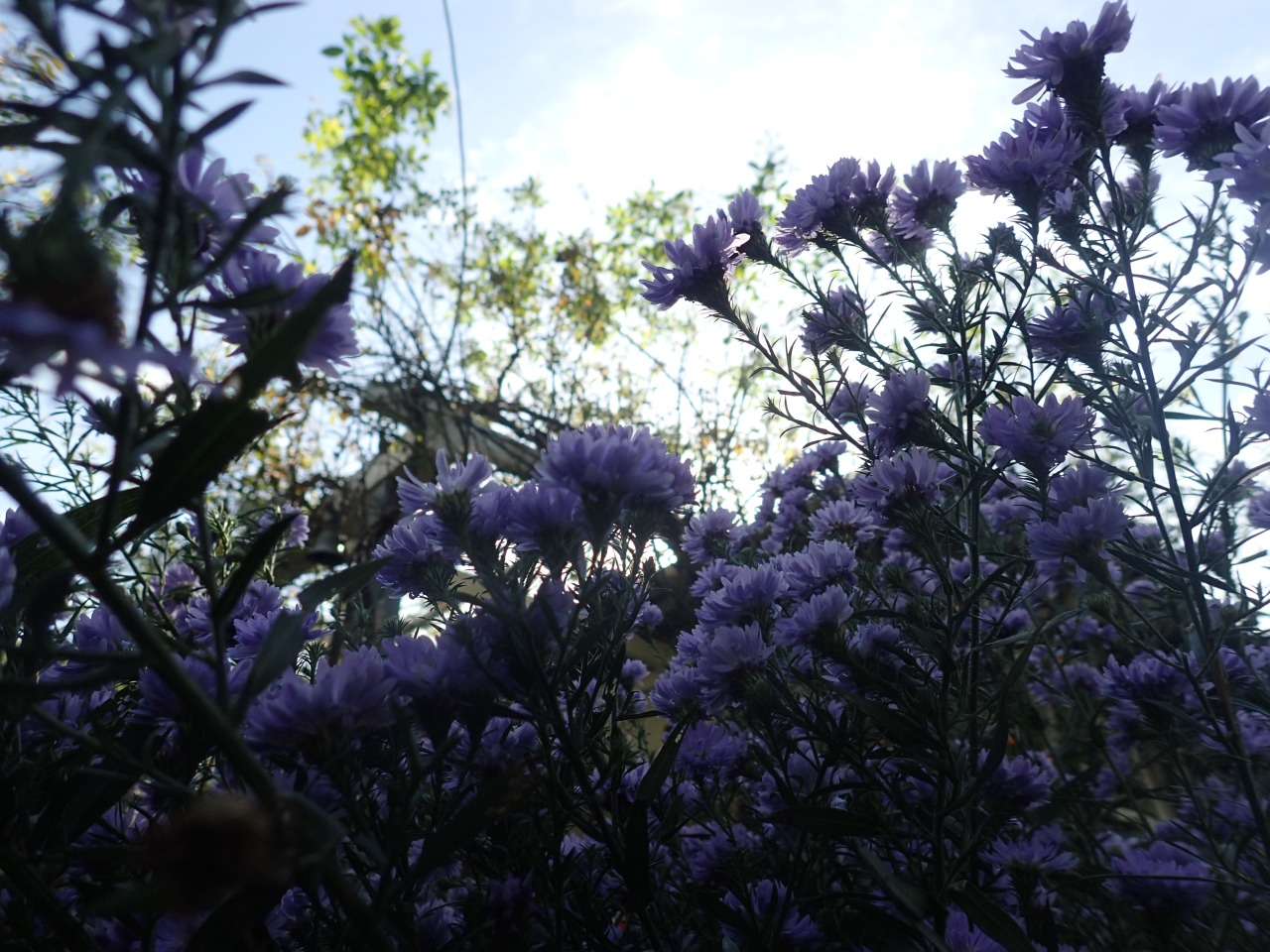 PB170089.JPG