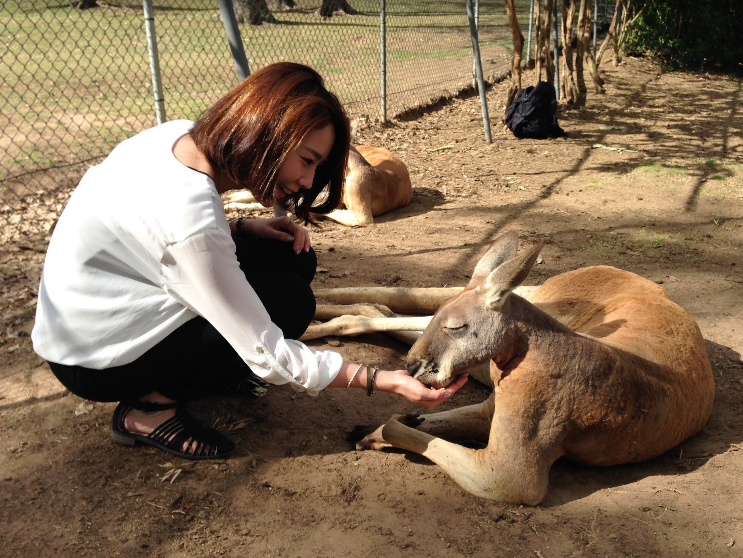 スクリーンショット 2025-06-25 11.34.58.png