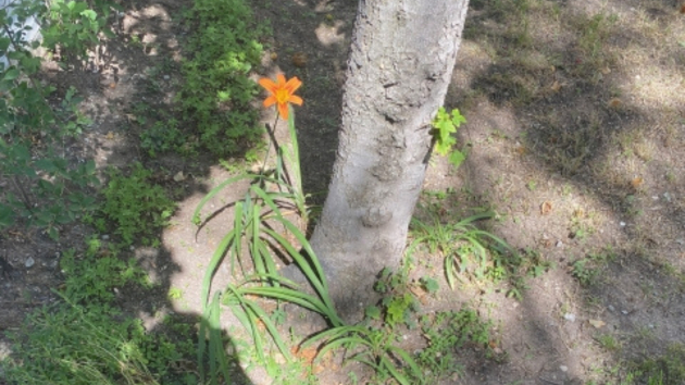 息抜きは超大事！！ (1).png