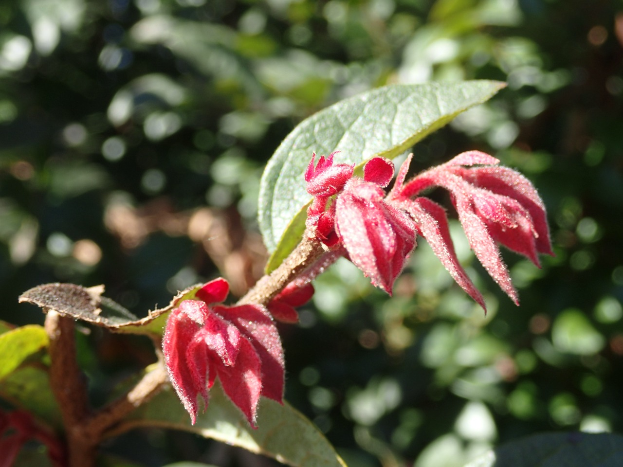 PA220729.JPG