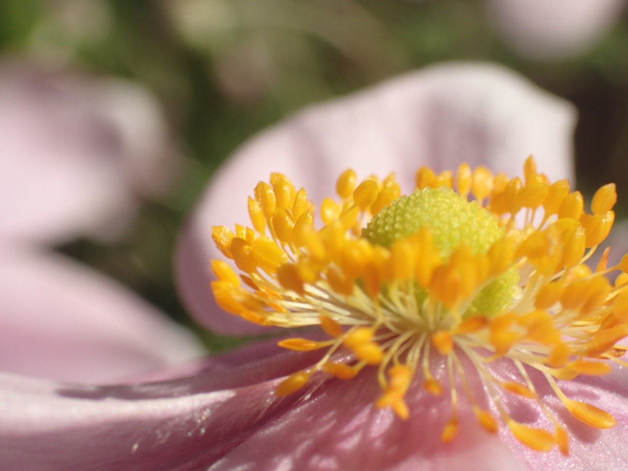 PA120690.JPG