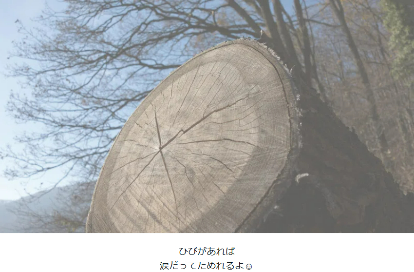 タイトルなし.png