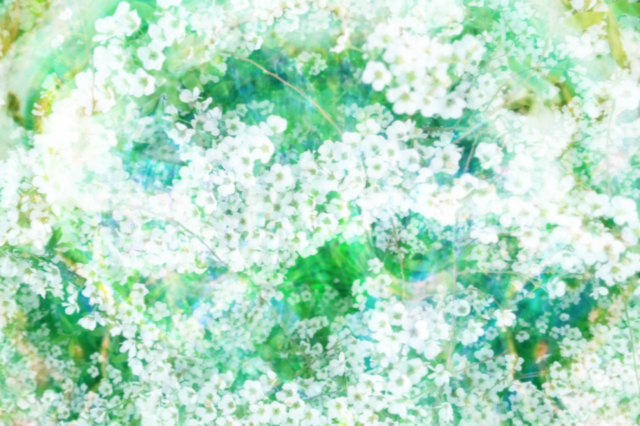 Screenshot_20241216-142459-2.png