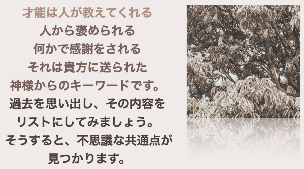 スクリーンショット 2024-09-02 20.45.46.png