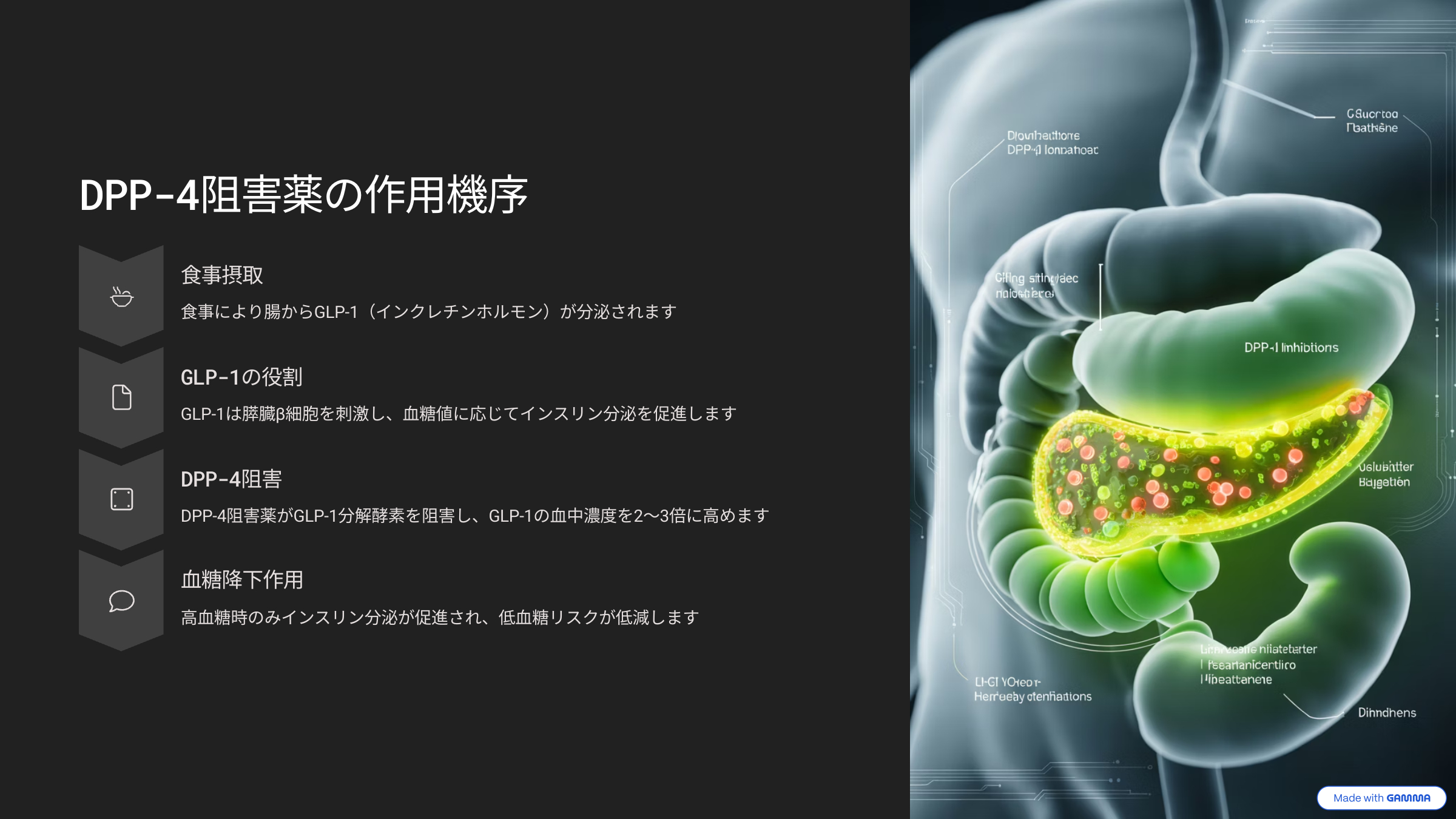 2_DPP-4.png