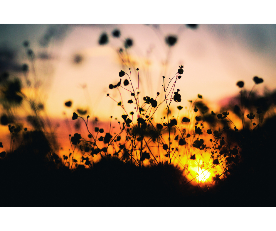 名称未設定のデザイン - 2024-01-16T002725.721.png