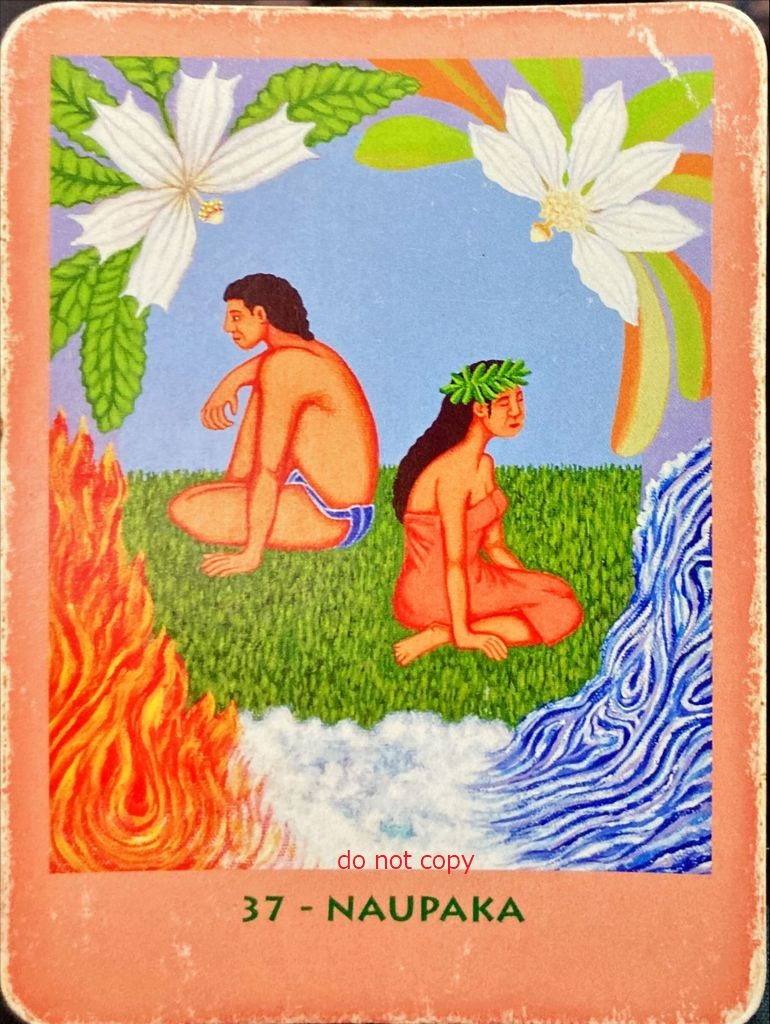 37_naupaka.jpg