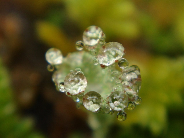 DSC04892-.jpg
