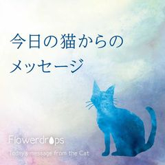 猫メッセ青.jpg
