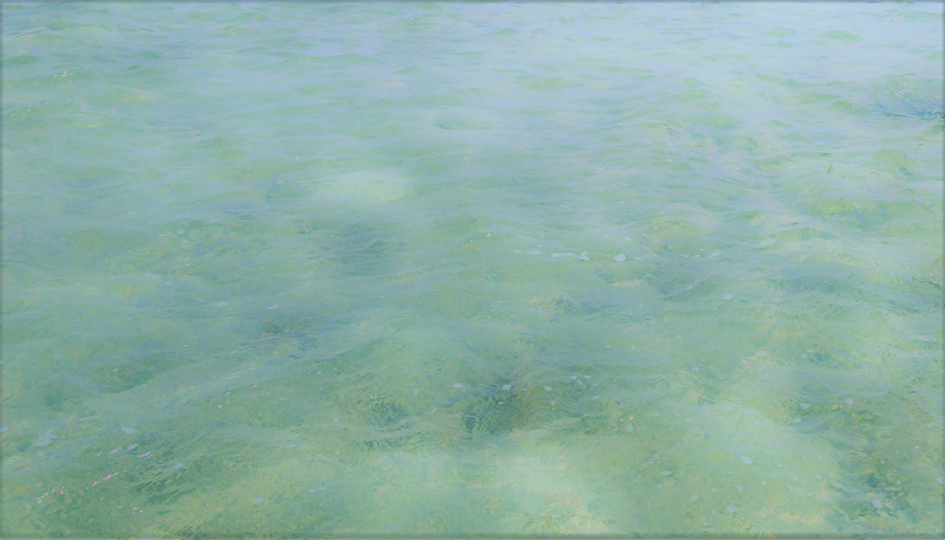 sketch-1638081972905 (2).png