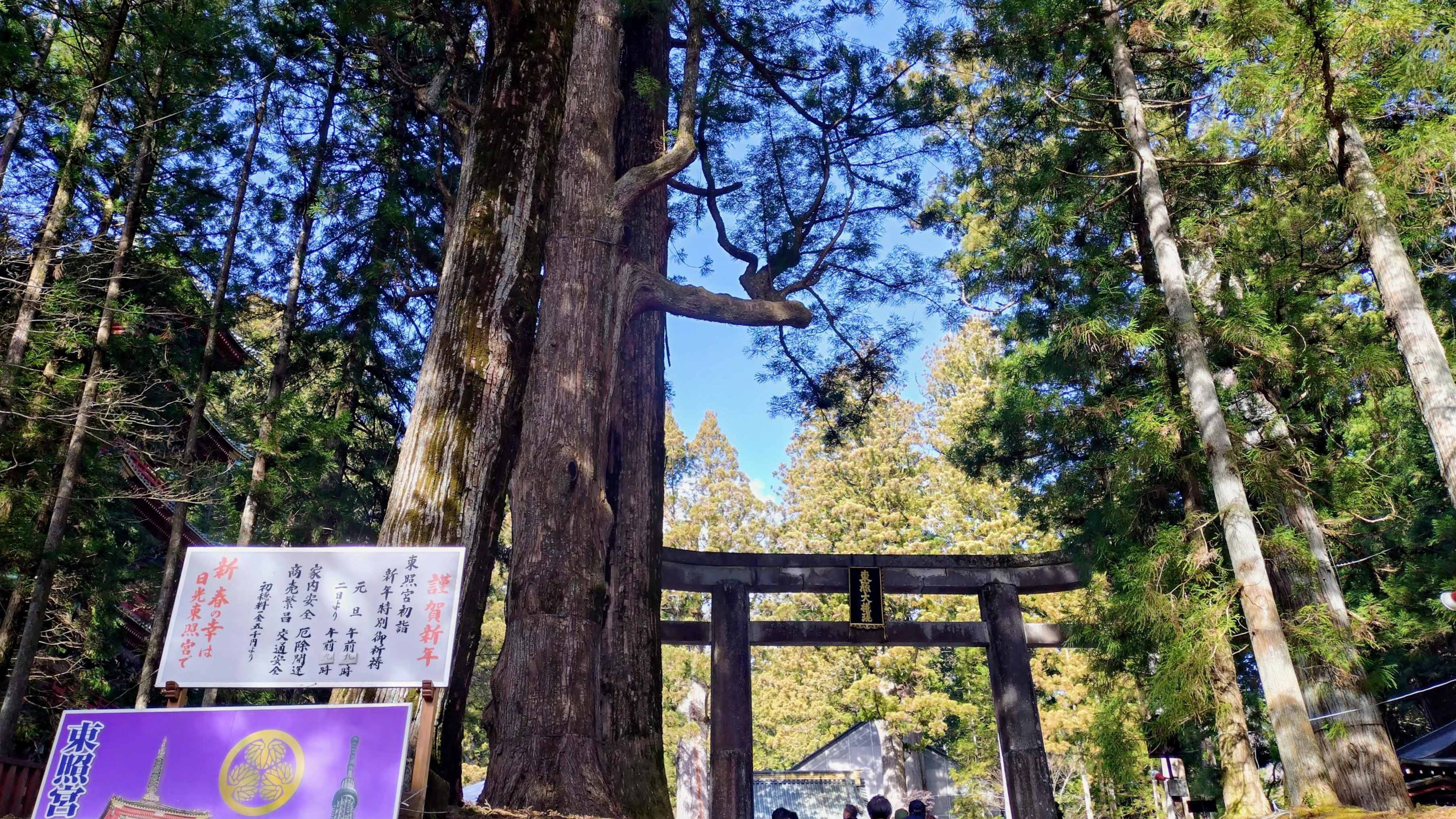 日光東照宮.JPG