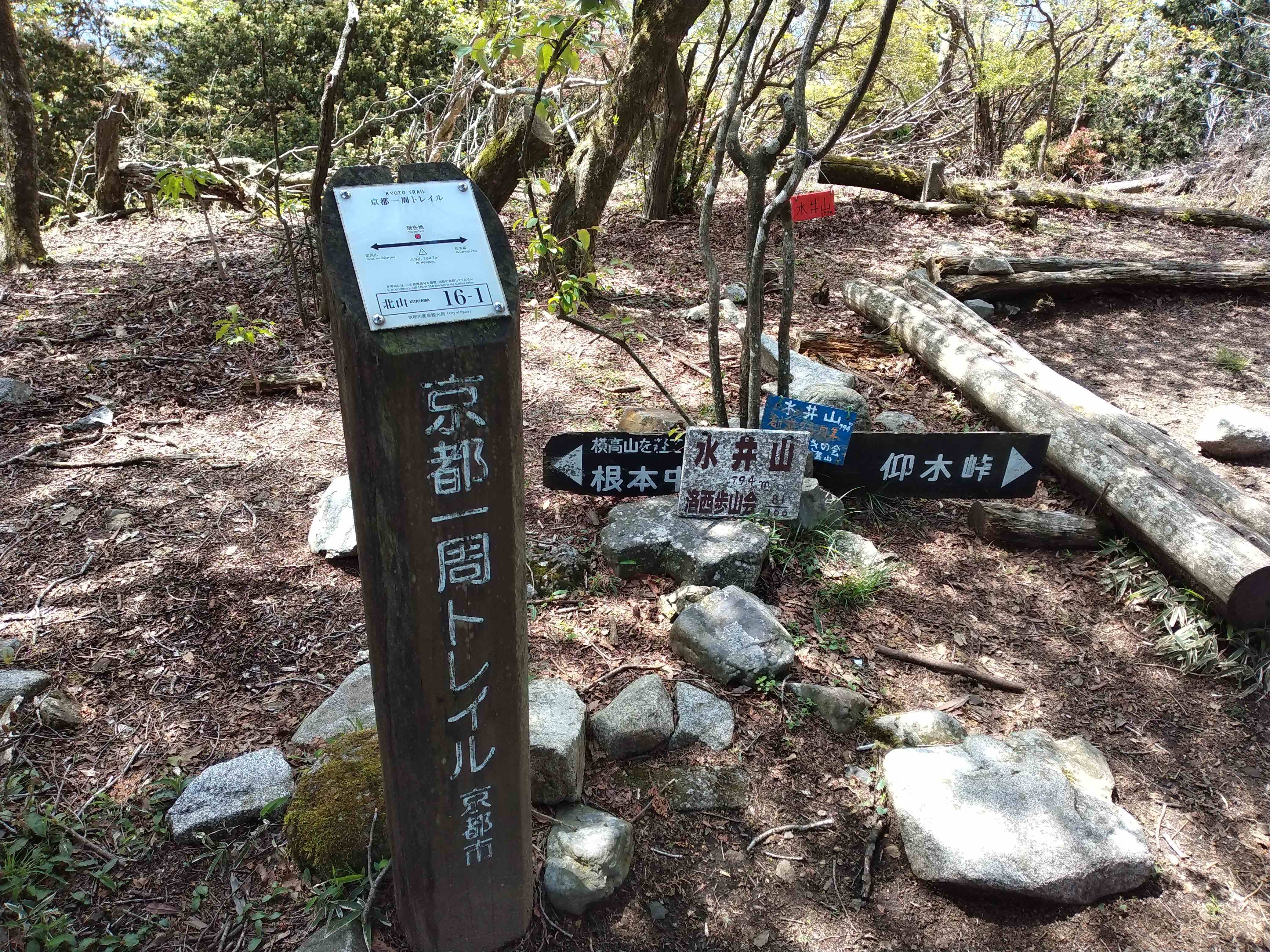 D8D1BC2F-1B33-4980-BCB5-04F037D0314B.jpeg