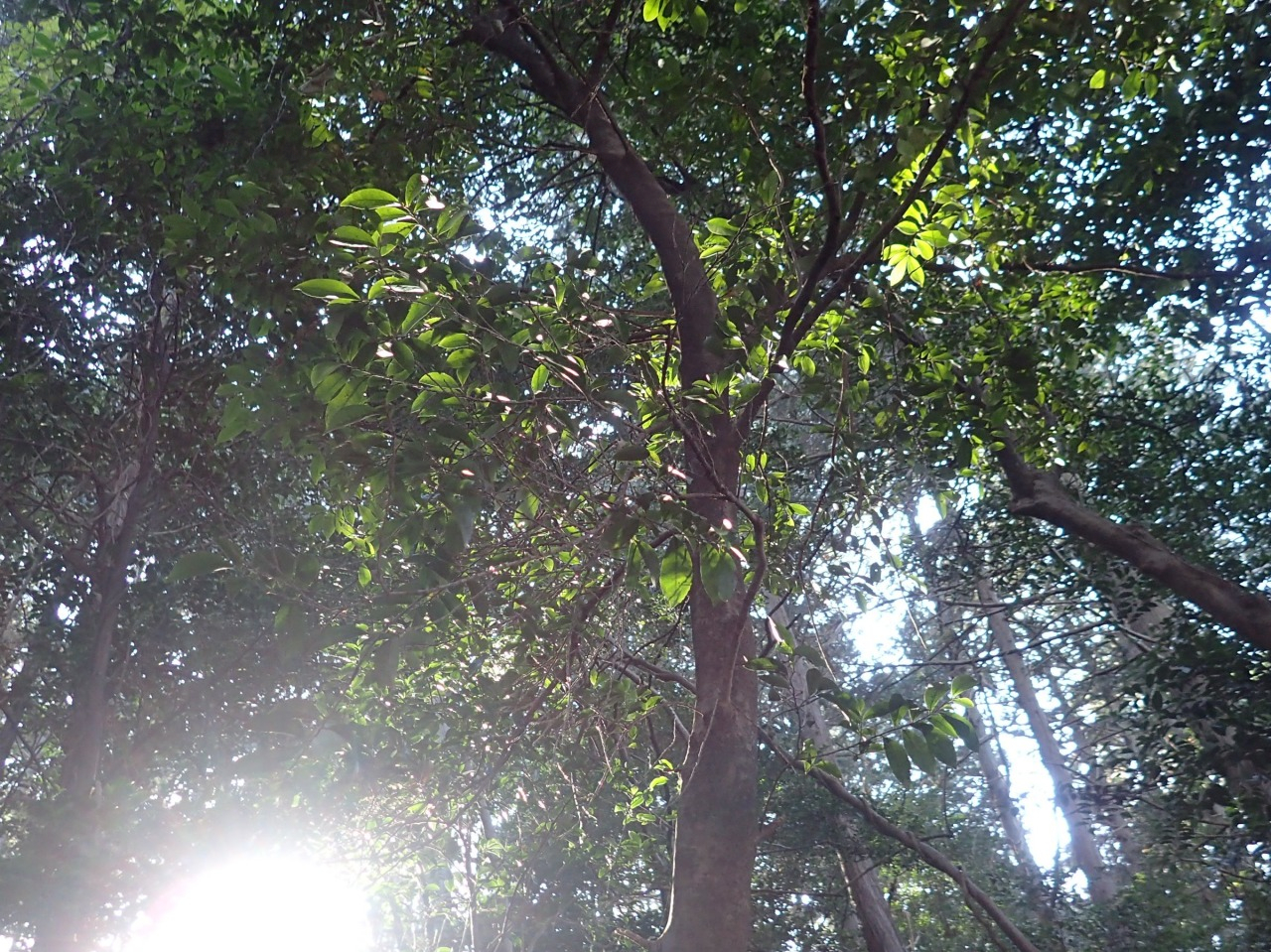 PC310033.JPG
