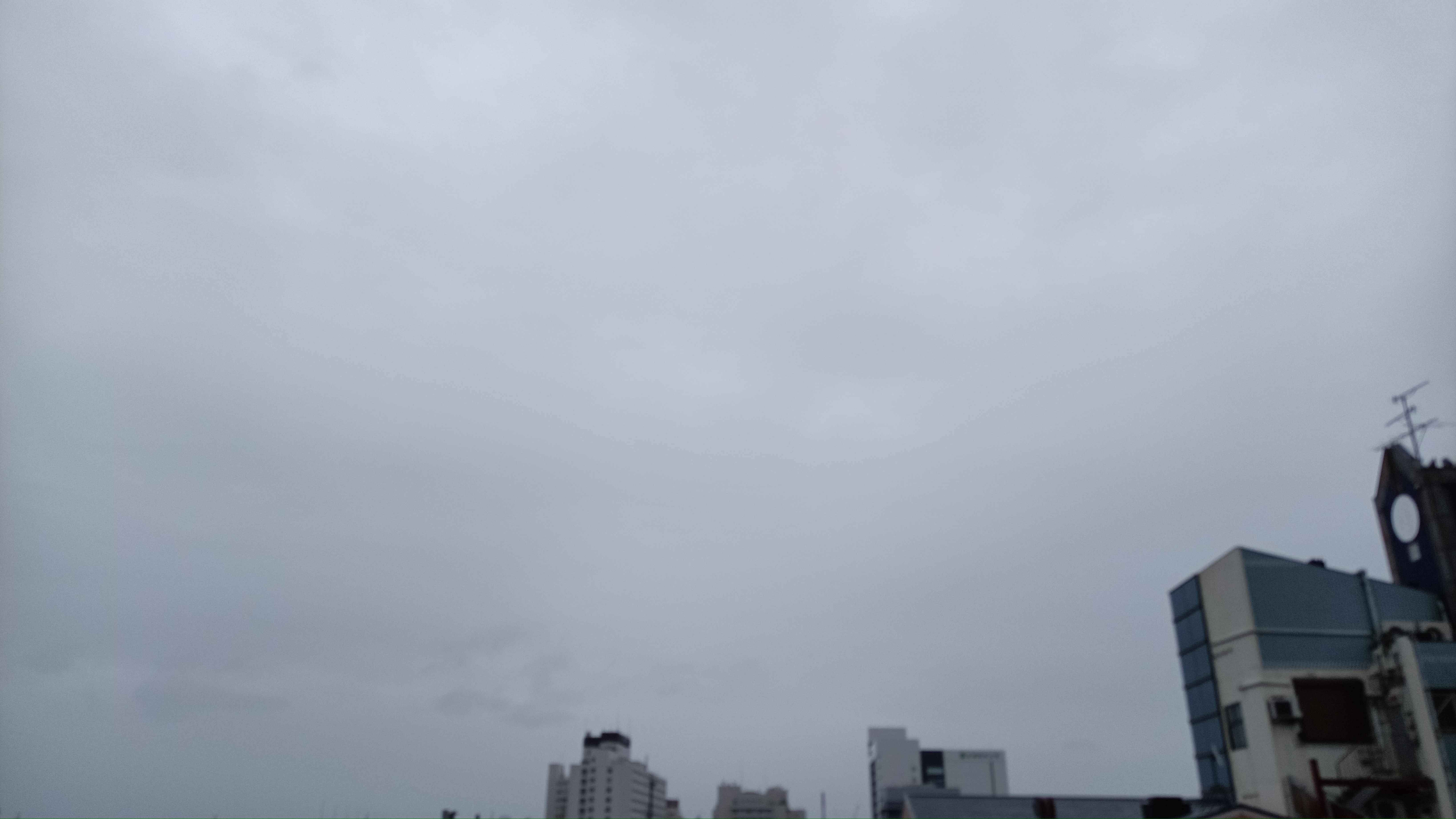 IMG_20240513_073631_040.jpg