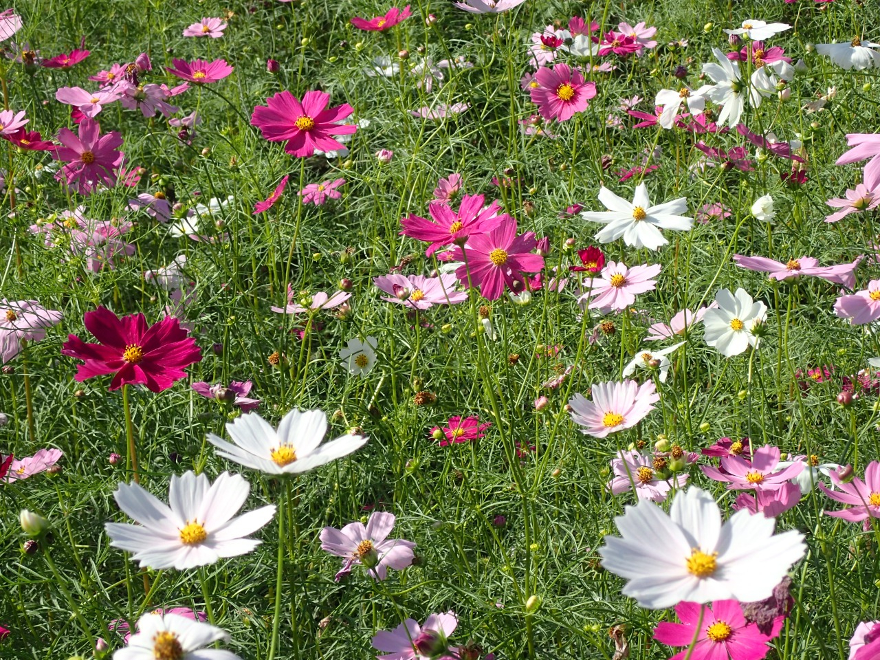PA121330.JPG