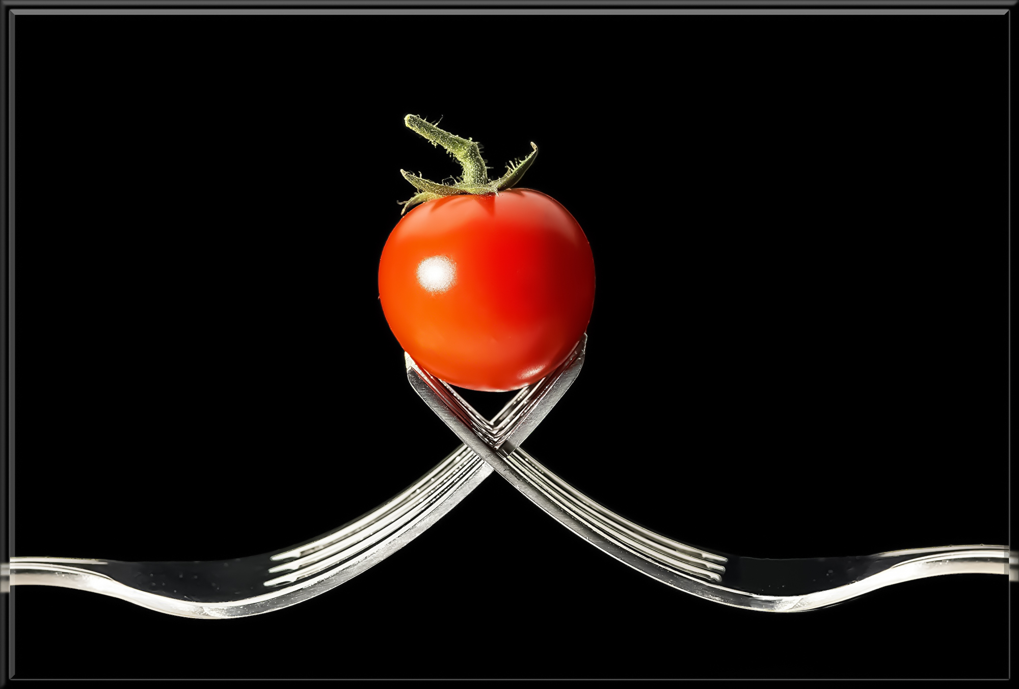 tomato-1862857.jpg
