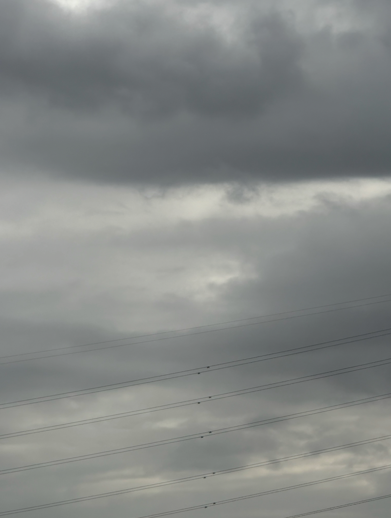 最新の写真を表示 6.png