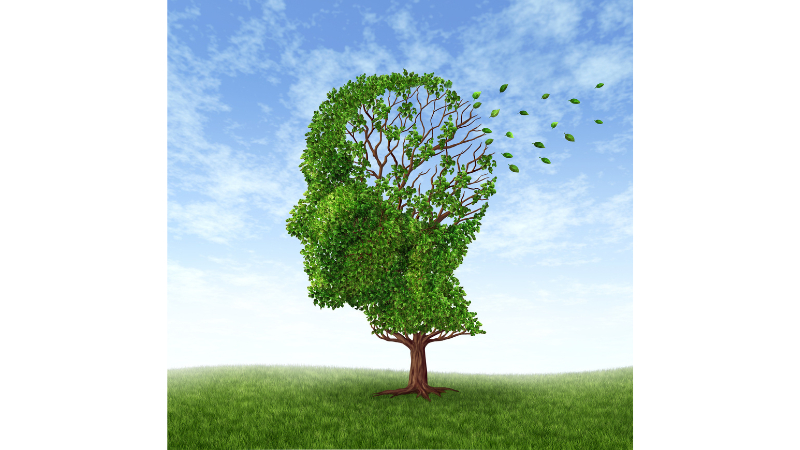 【扁桃体と記憶の説明中】.png