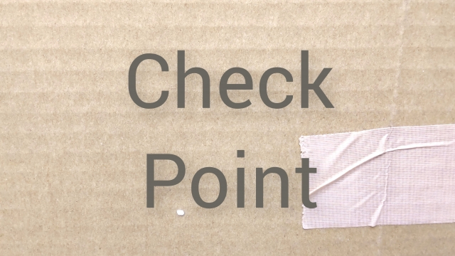 check-point.jpg