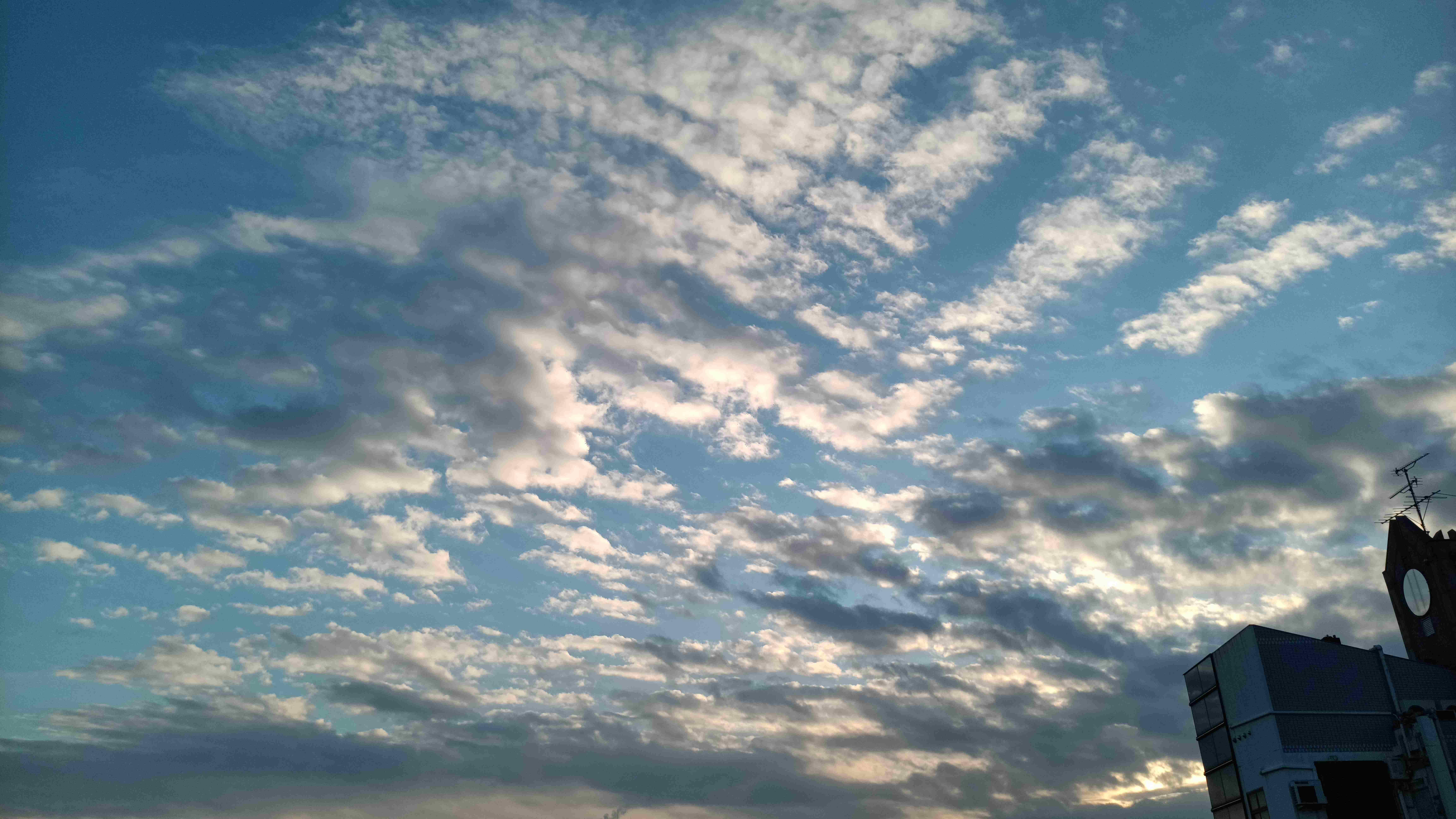 IMG_20231225_073732_183.jpg