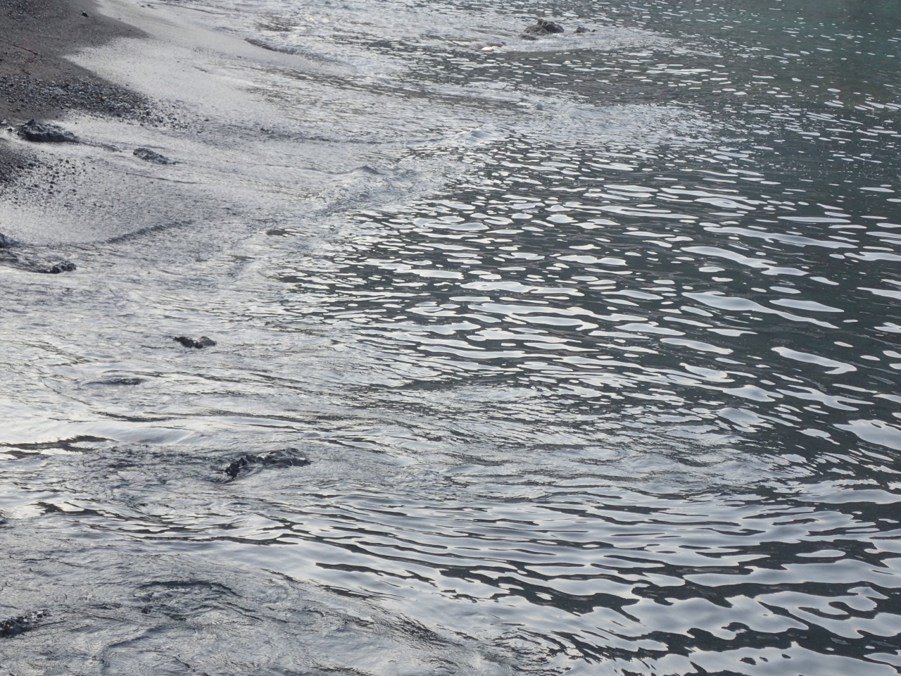 P8110565.JPG