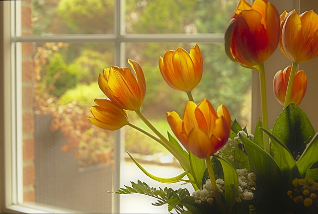 tulips-g0cbed306e_640.jpg