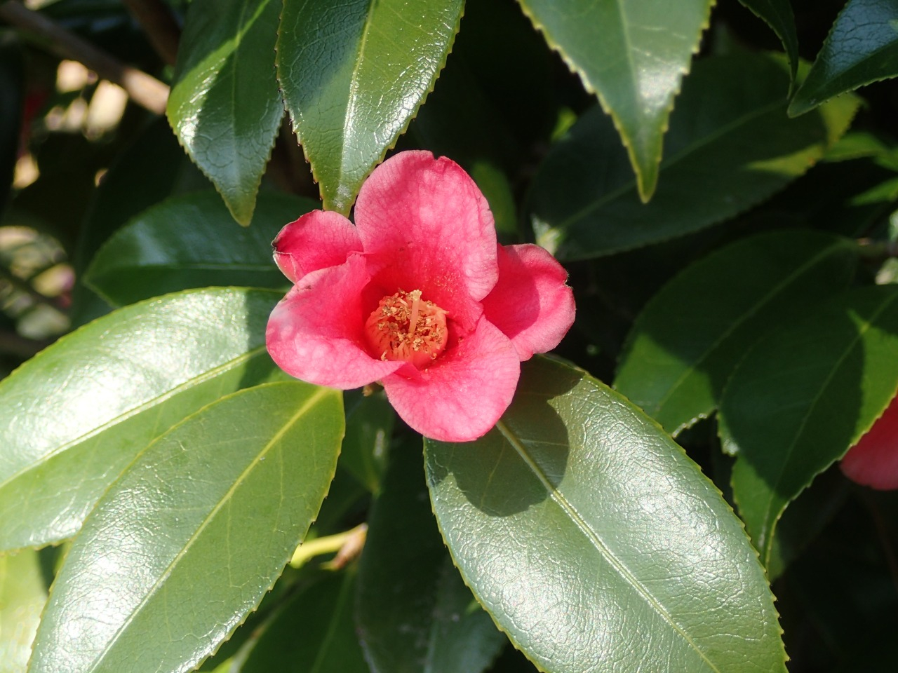 P3220118.JPG