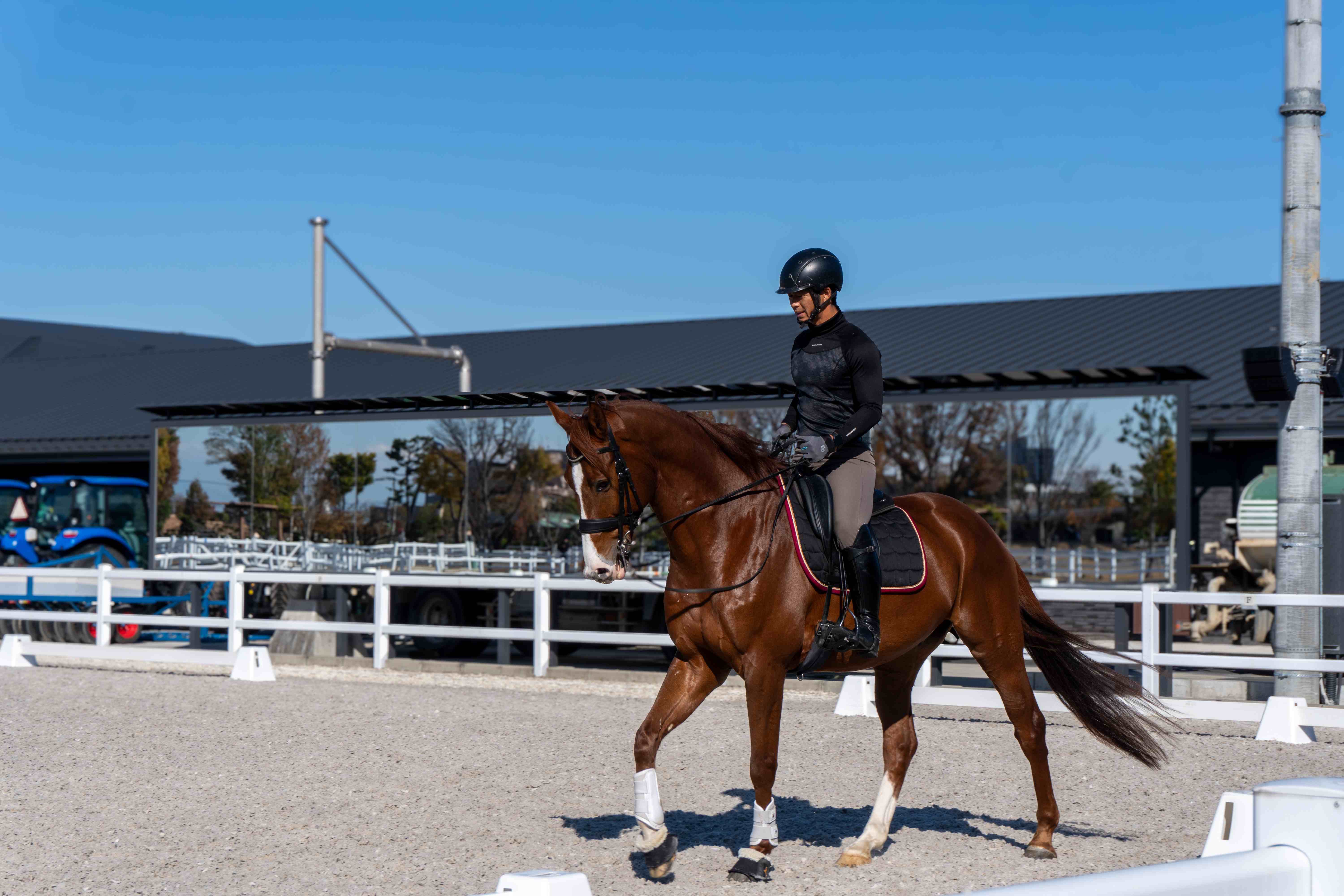 馬事公苑　乗馬02.jpg