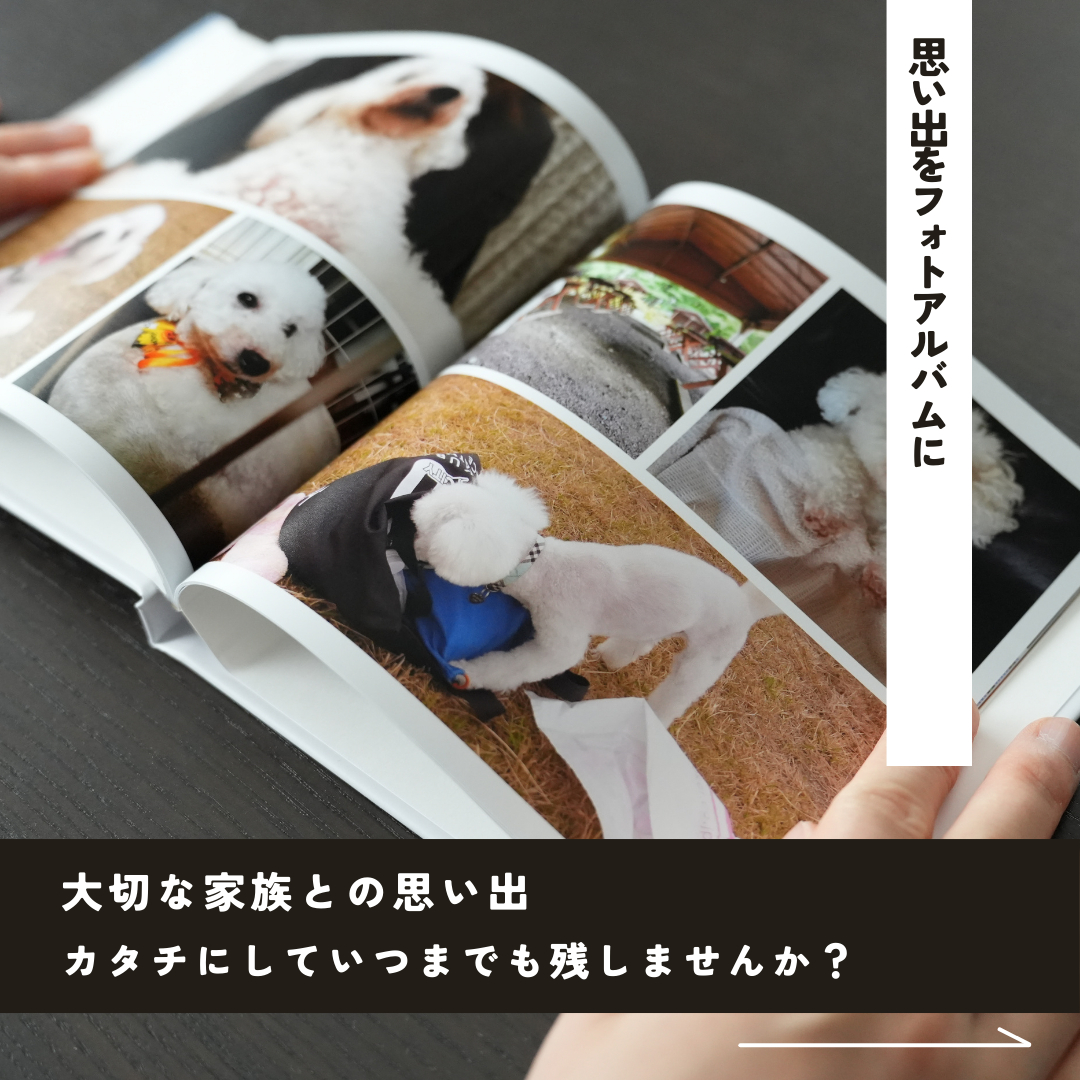 ココナラ画像 (1).png