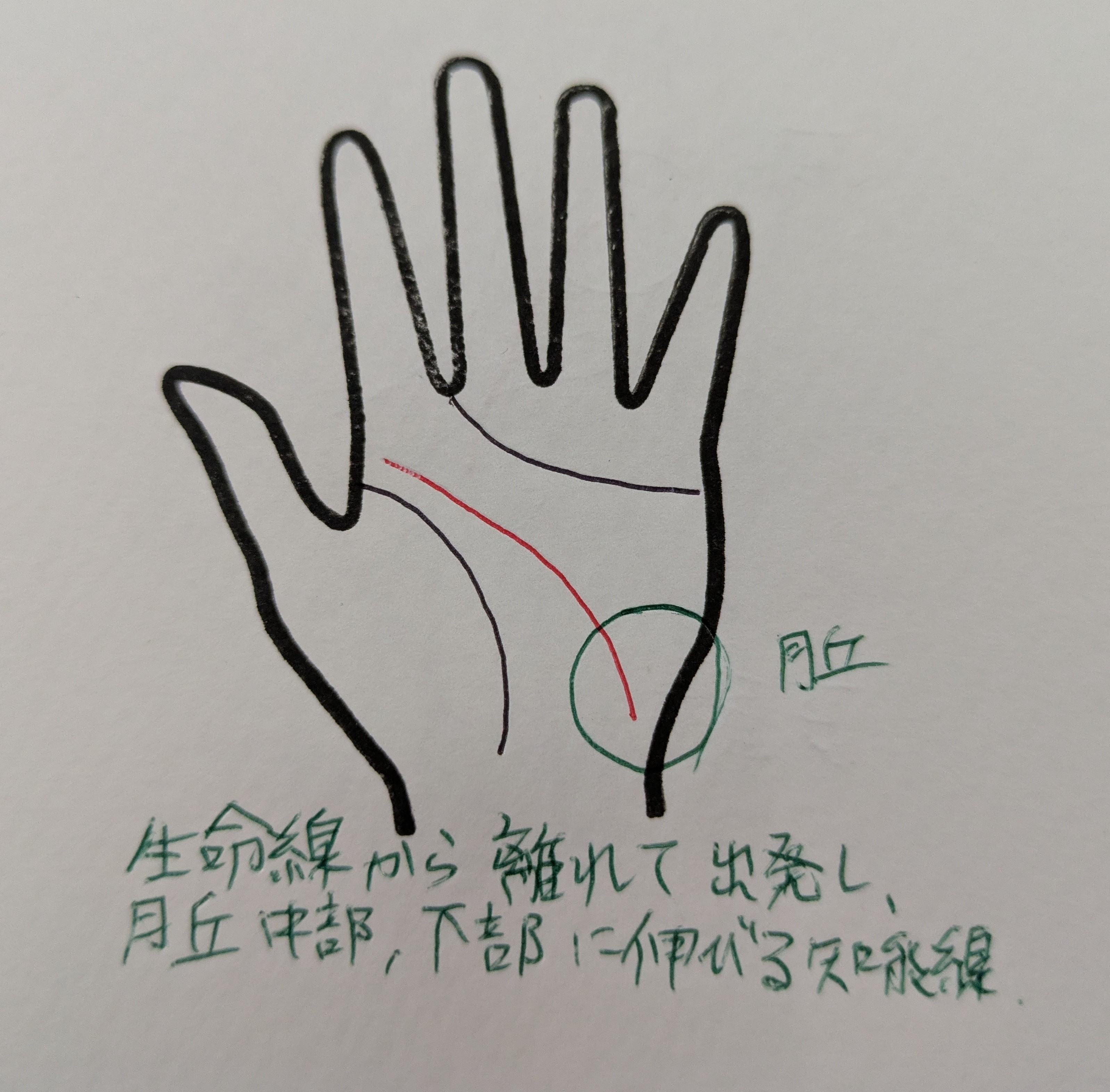 PXL_20251014_215523110.jpg
