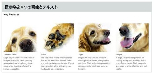 標準的な4つの画像とテキスト.png