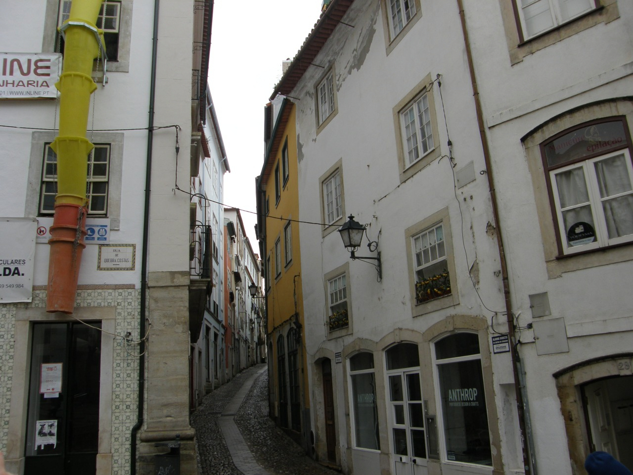 P1251222.JPG