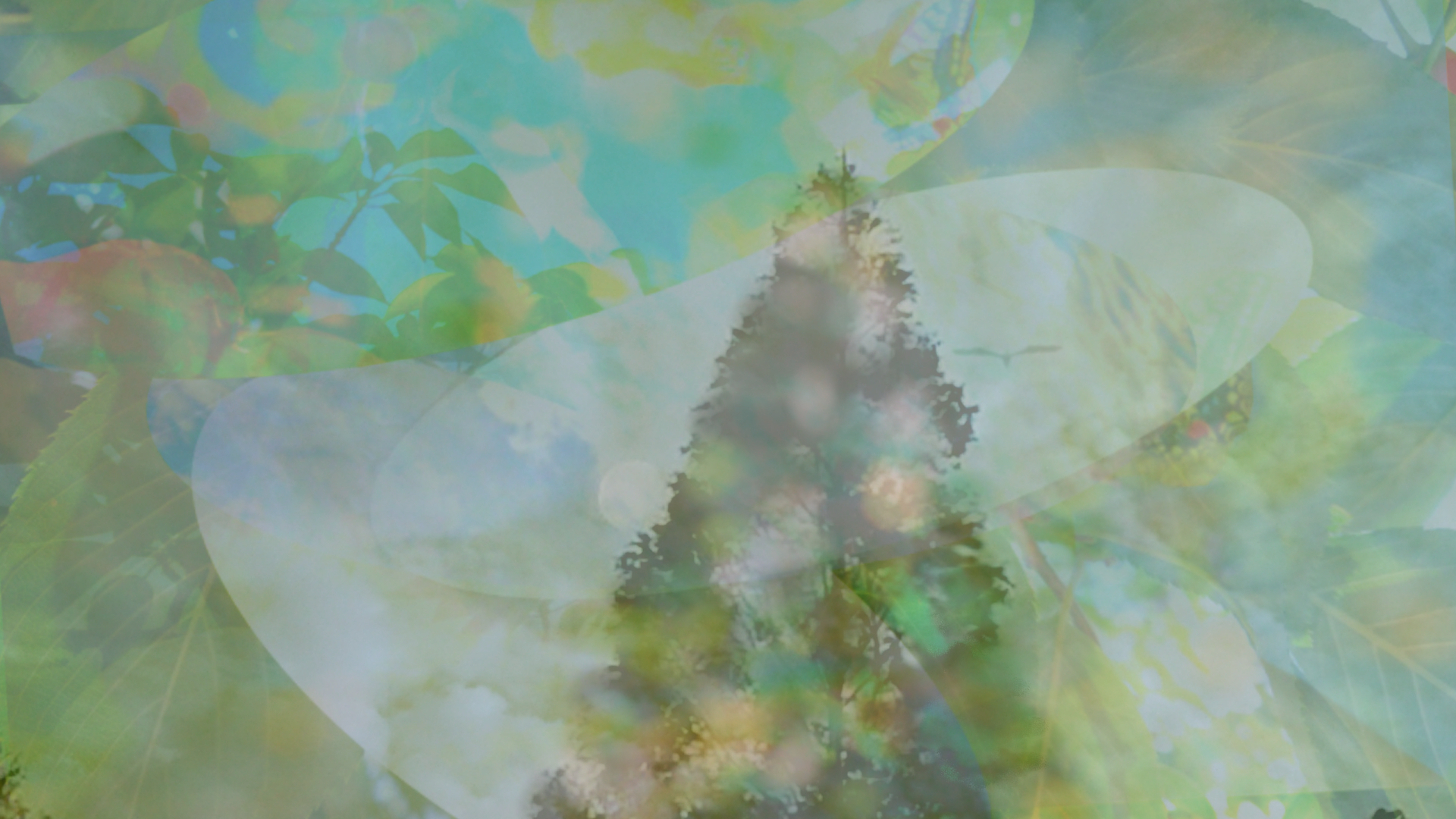 sketch-1654669510356.png