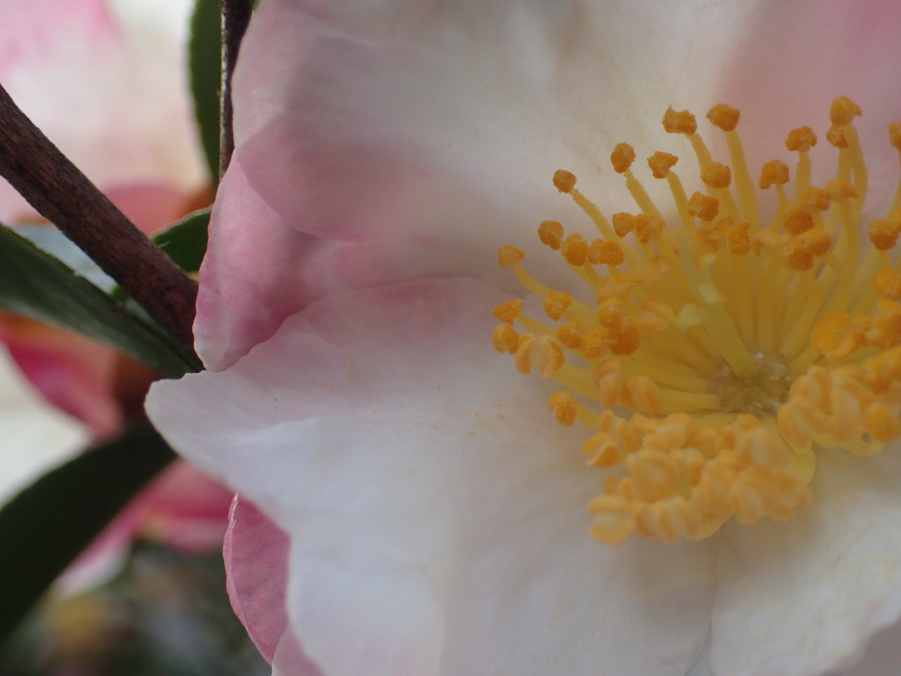 PC220276.JPG
