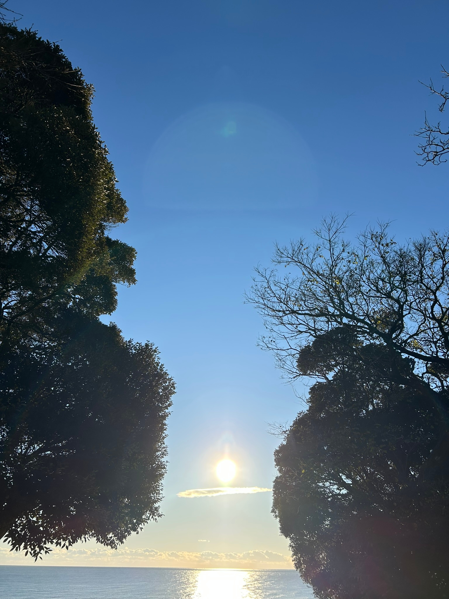 IMG_4916.JPEG