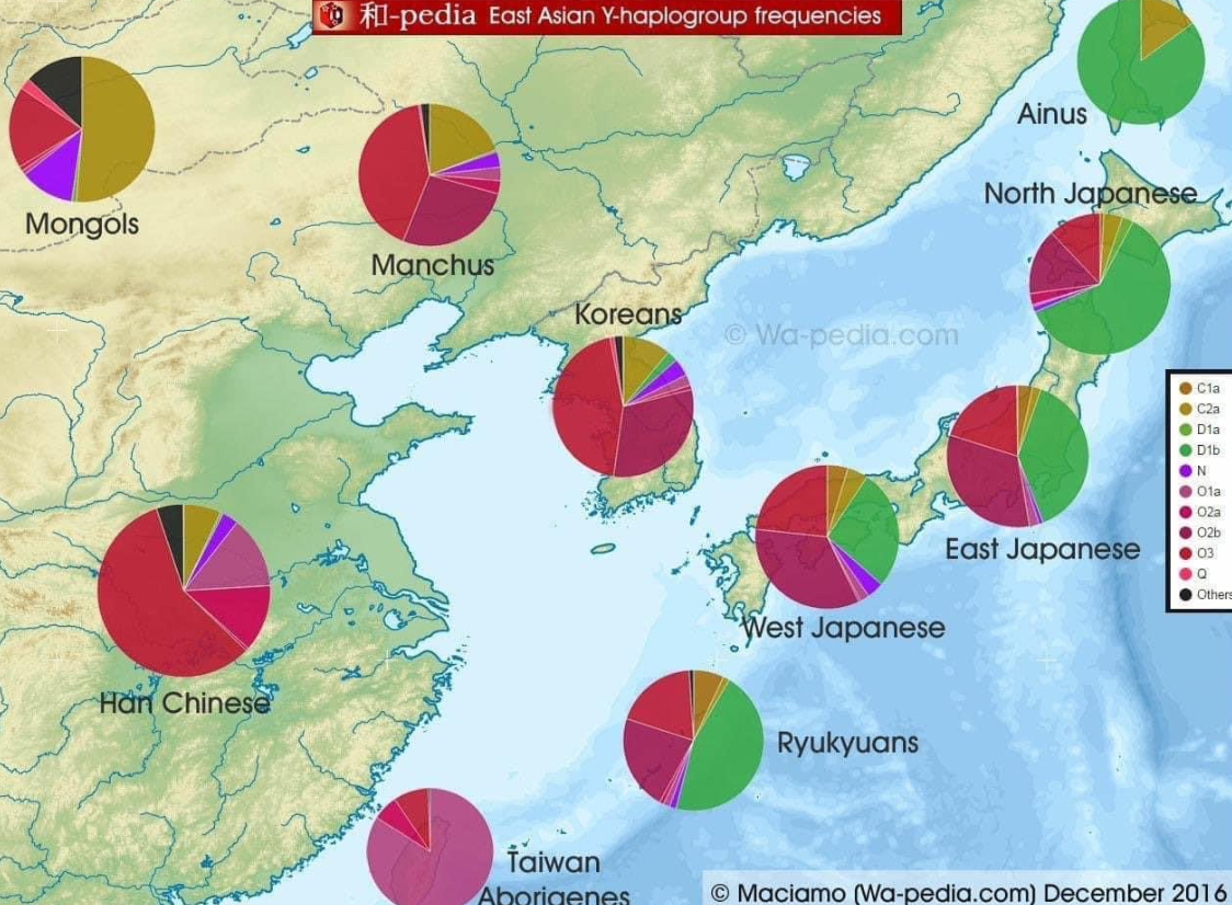 スクリーンショット 2024-07-26 234633.png