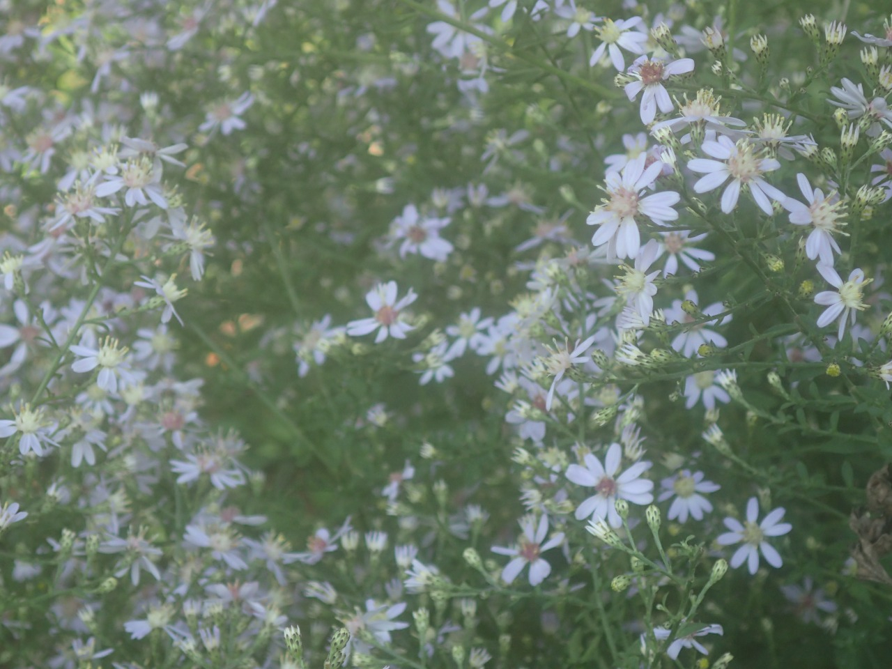 PA120350.JPG