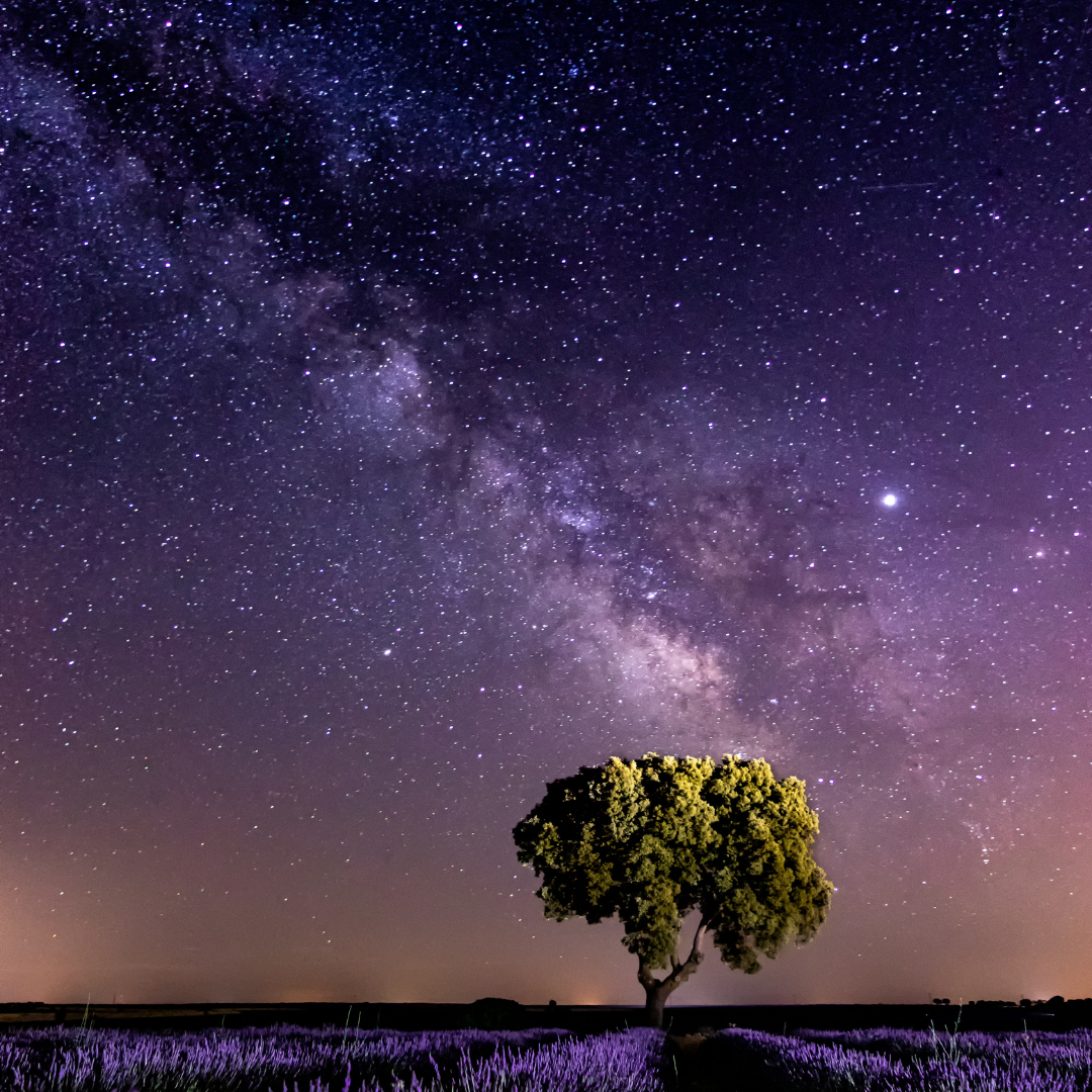 スピリチュアル ピンクと精神 言葉 Instagramの投稿.png