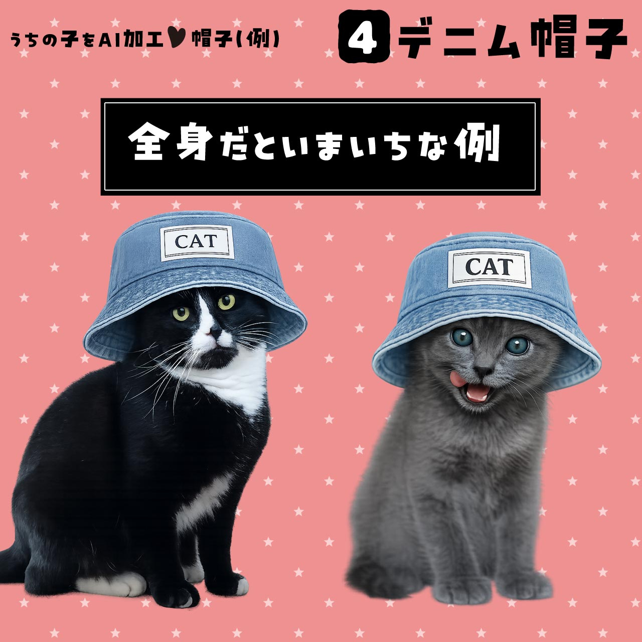 AI_A4denim_BAD.jpg