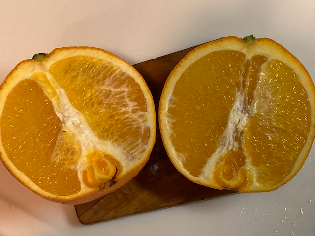 240219③.jpg