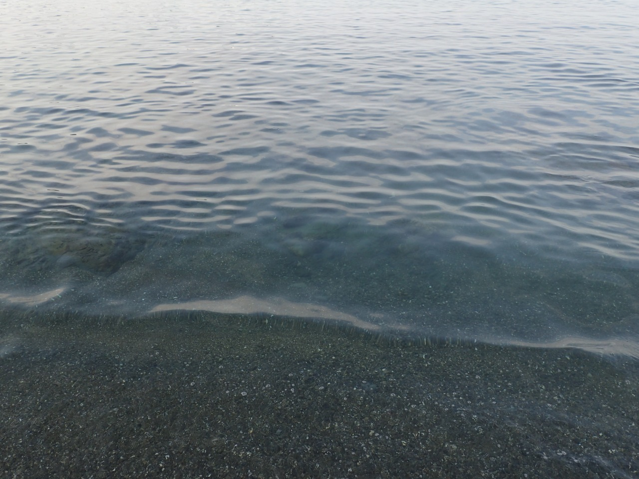 P8110514.JPG