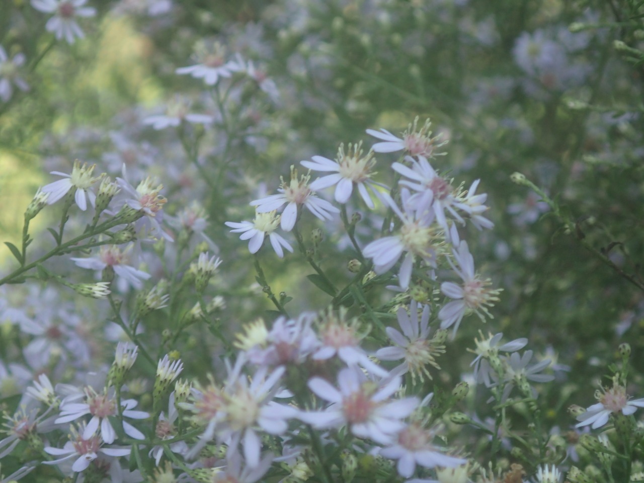 PA120357.JPG