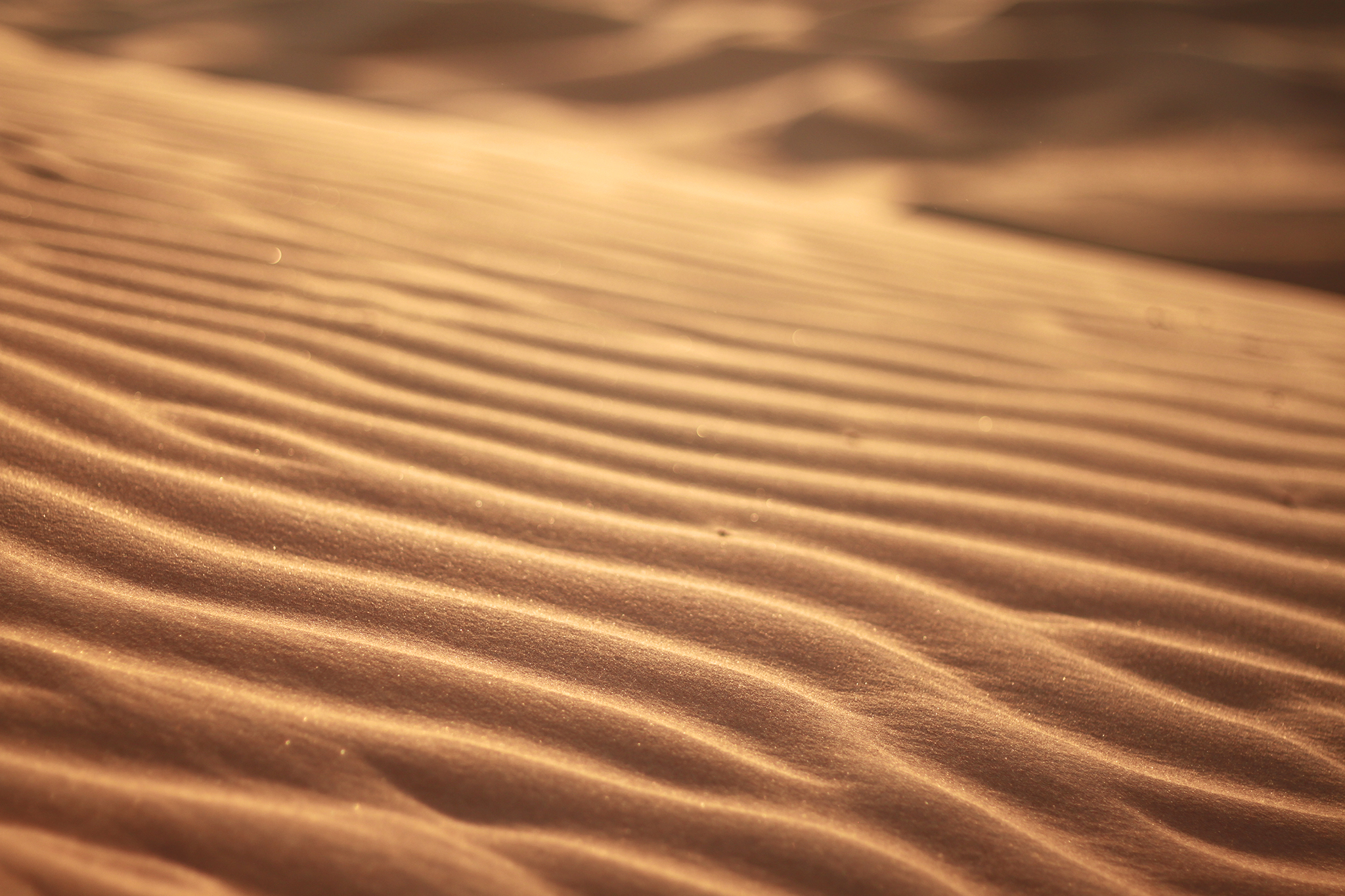 タロット 占い 浦和 埼玉 霊感 霊視 潜在意識 前世鑑定 ヒーリング 　尾本広美 ロータスロータス  当たる占い 埼玉 スピリチュアル (181).JPG