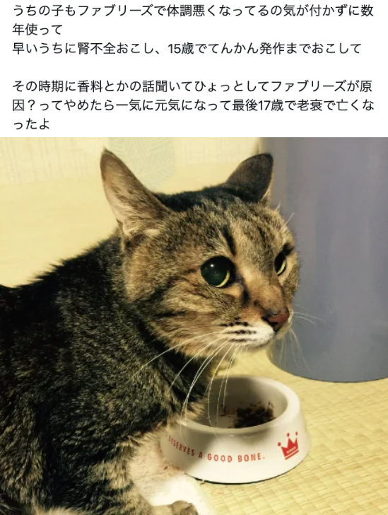 スクリーンショット 2024-11-10 5.02.31.png